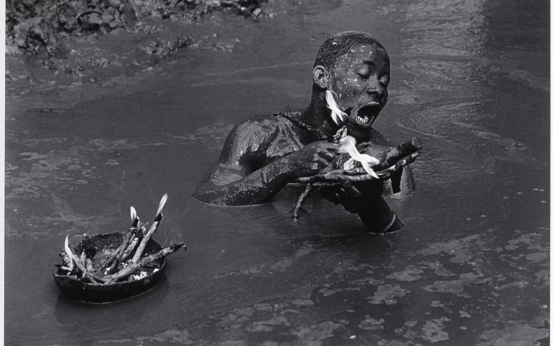 Olor i Fotografia es troben a la mostra de Sarah Moon (Foto Colectania)